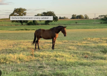 Oxford Retirement Livery